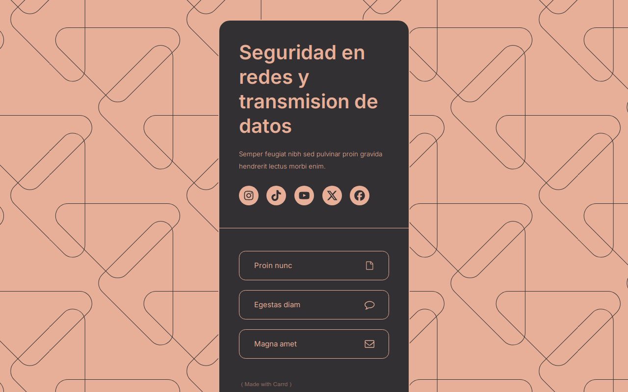 Carrd profile picture for @seguridad